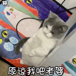 貓是不是一種“沒良心”的動物？養貓5年，居然